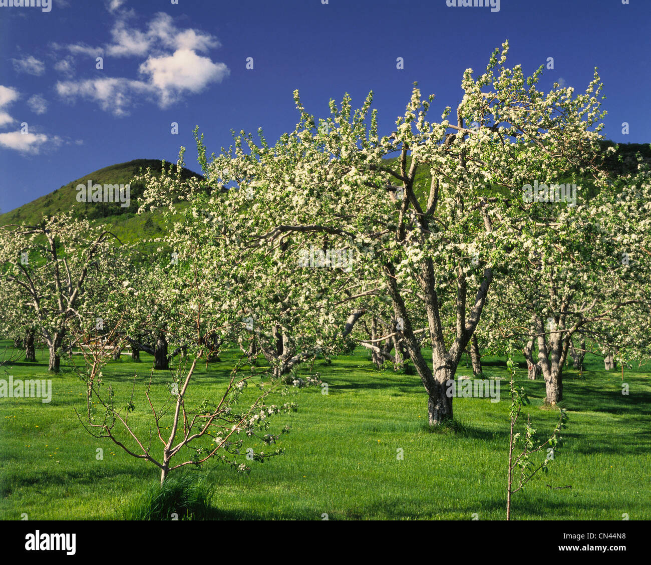 Mont saint hilaire hires stock photography and images Alamy