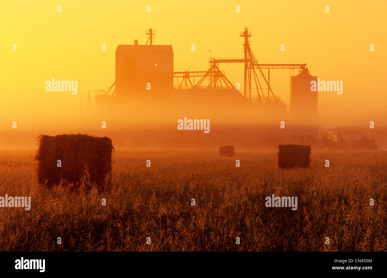 Hay Field and Feed Mill in Morning Fog, Otterbourne, Manitoba Stock Photo