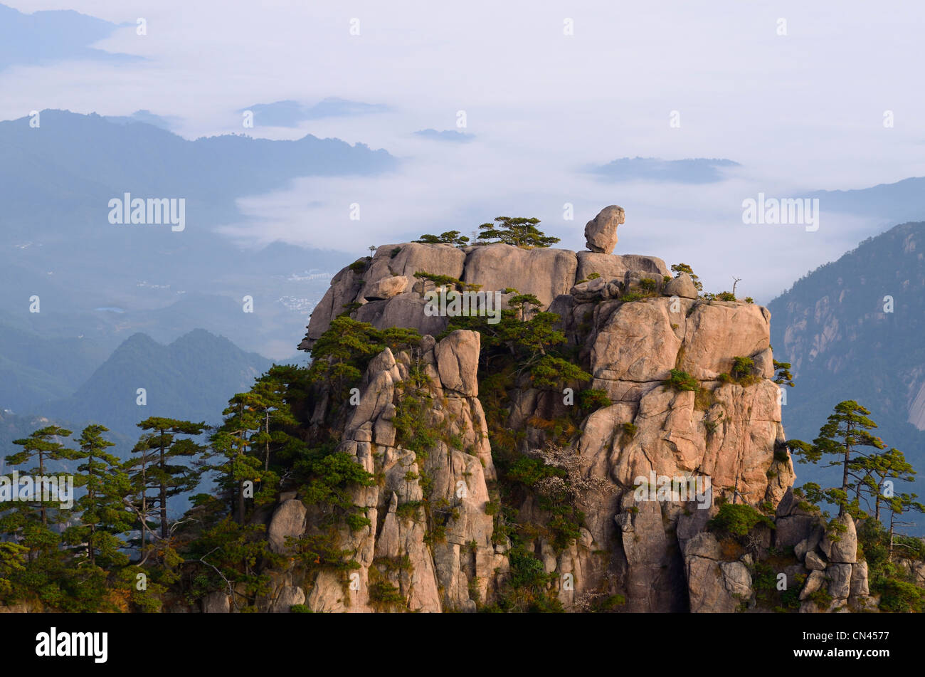 Pre dawn Monkey watching the Sea Peak with fog in valley at Huangshan Yellow Mountain China Stock Photo