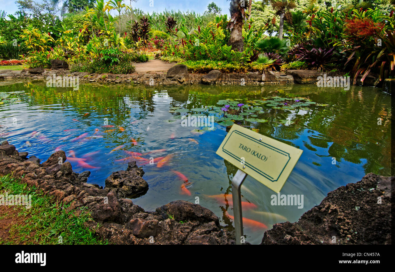 Dole Plantation Oahu Map