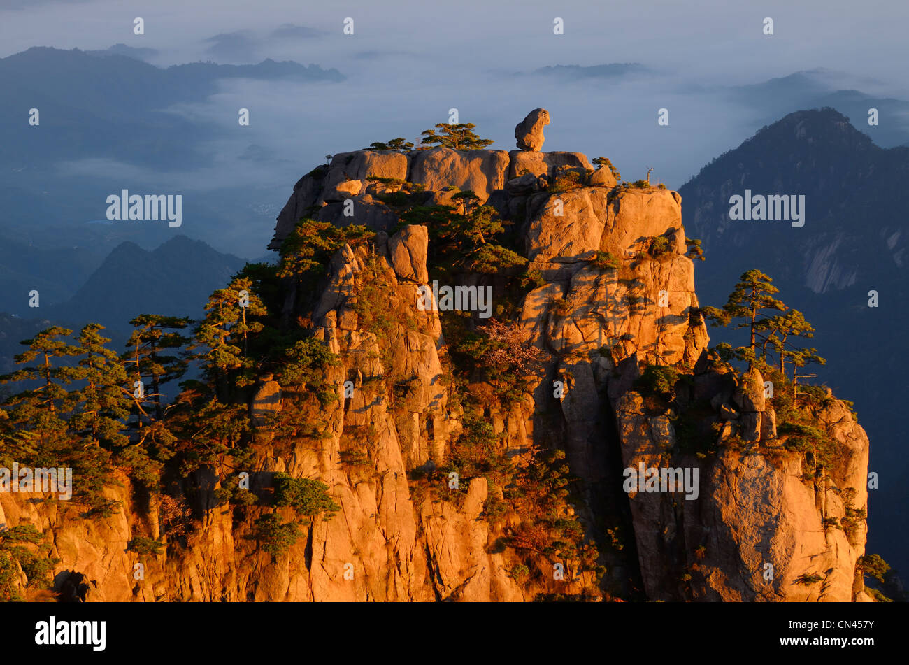 Detail of Monkey watching the Sea Peak at sunrise with fog in valley at Huangshan Yellow Mountain Peoples Republic of China Stock Photo