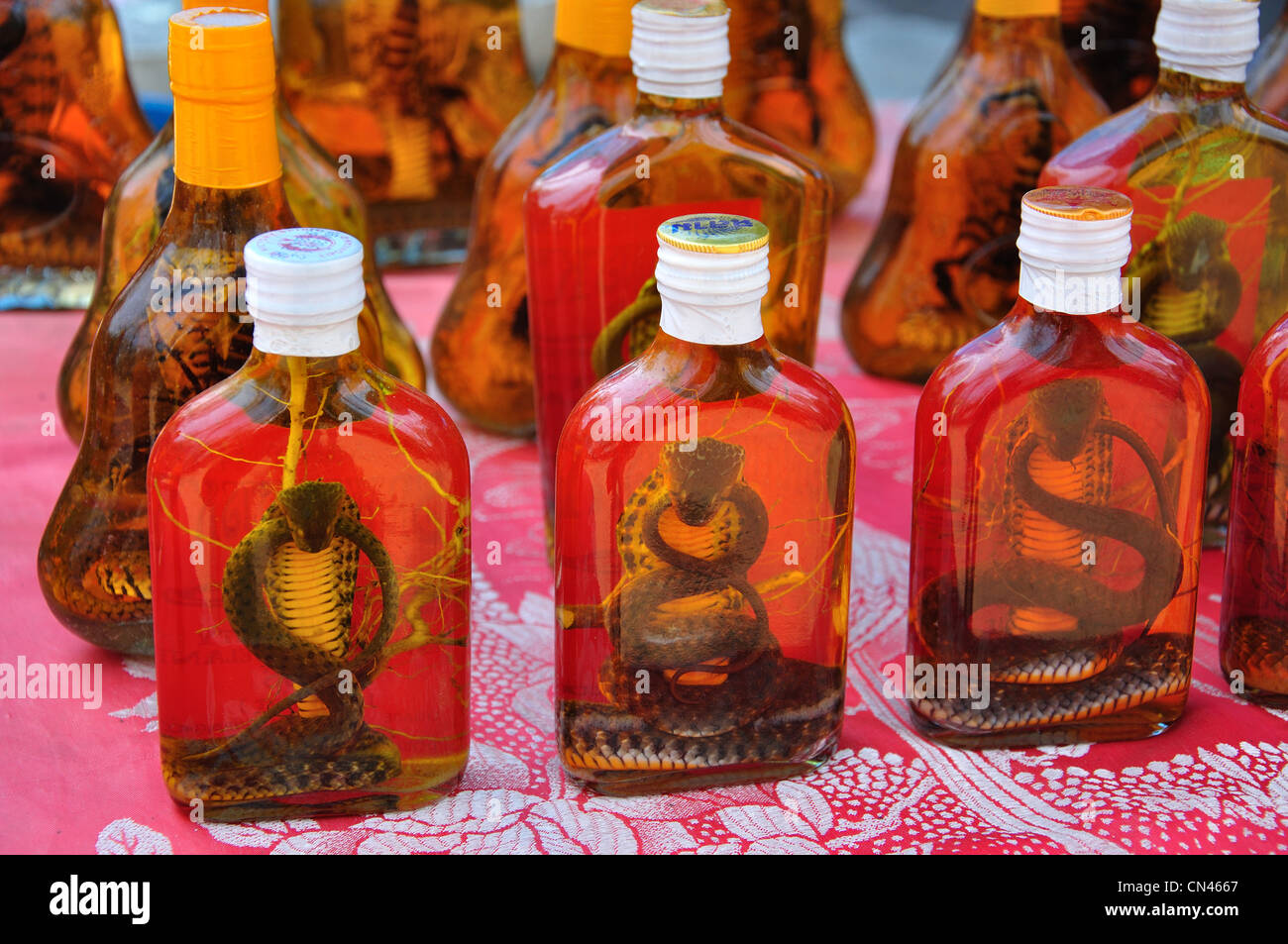 Cobra wine for sale in Tourist market, Don Sae, Pak Tha Region, Bokèo Province, Laos Stock Photo