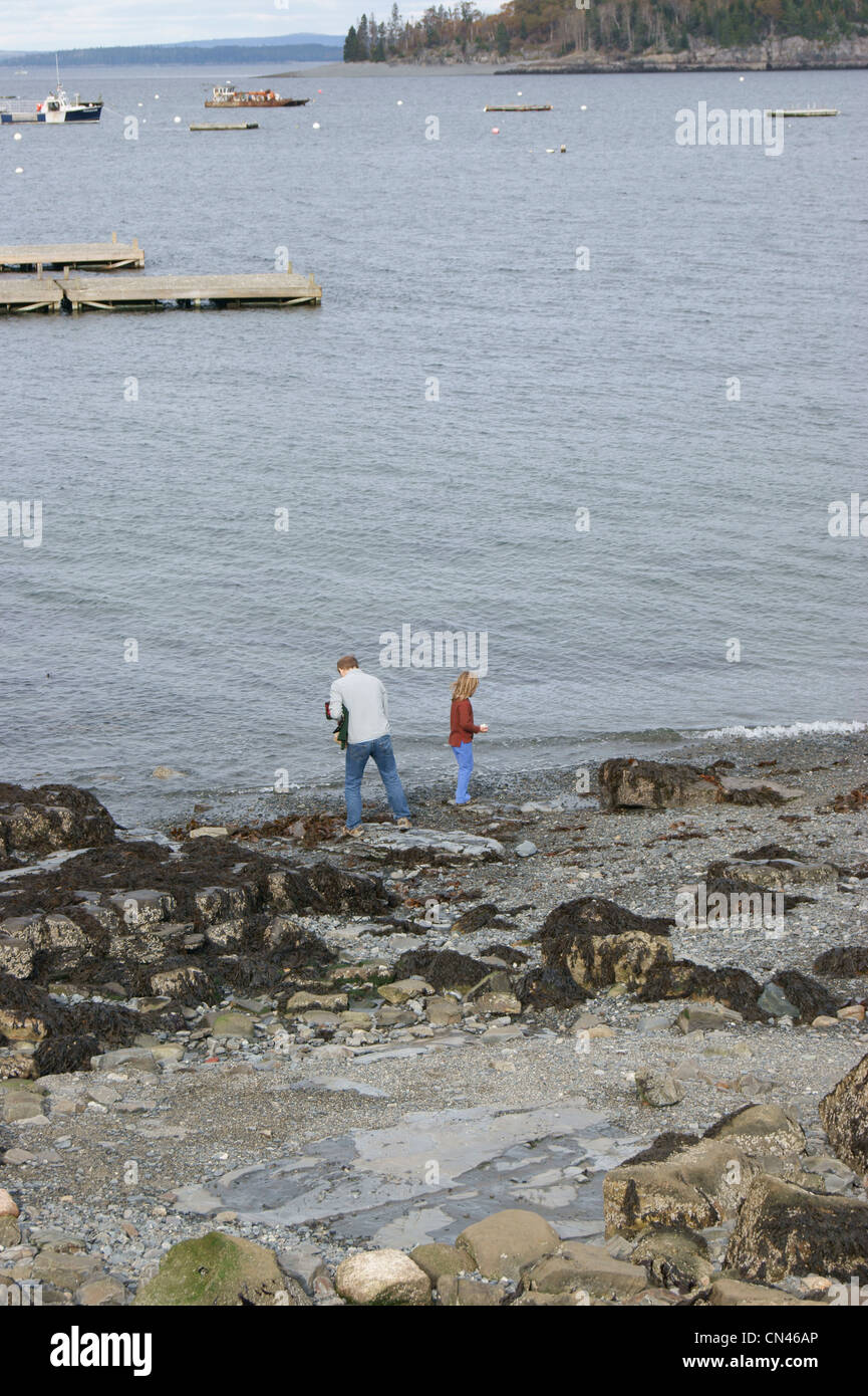 Full-length rear view of a father and daughter beach combing in Bar Harbor, Maine. Stock Photo