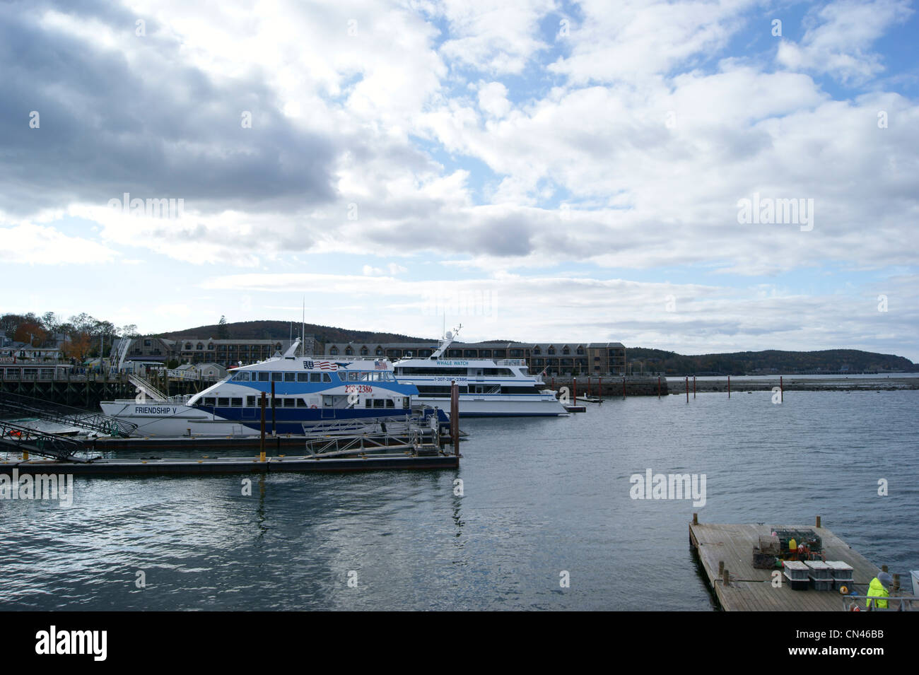 Whale watch boats at dock on the waterfront in Bar Harbor, Maine. Stock Photo