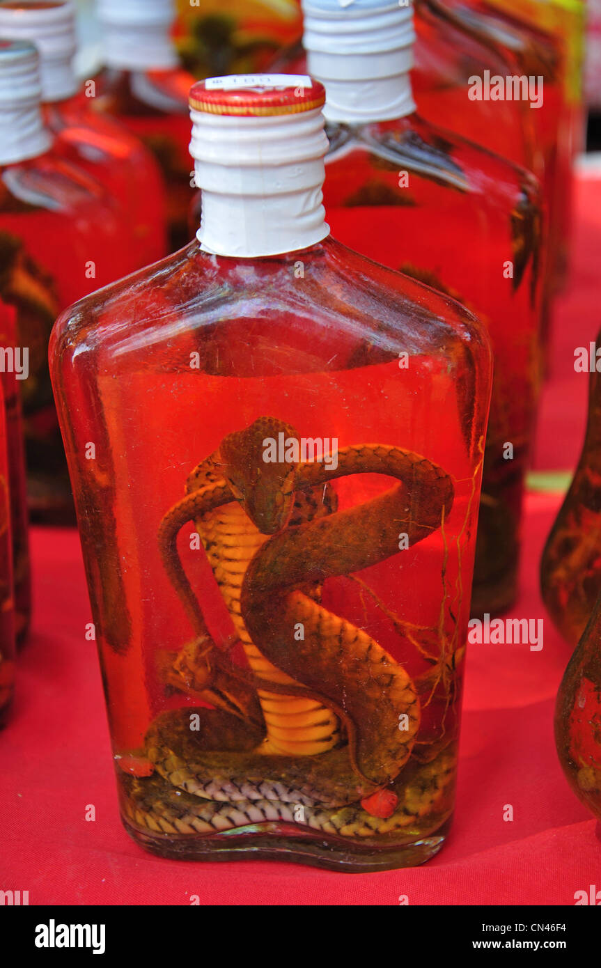 Cobra wine for sale in tourist market, Don Sae, Pak Tha Region, Bokèo Province, Laos Stock Photo