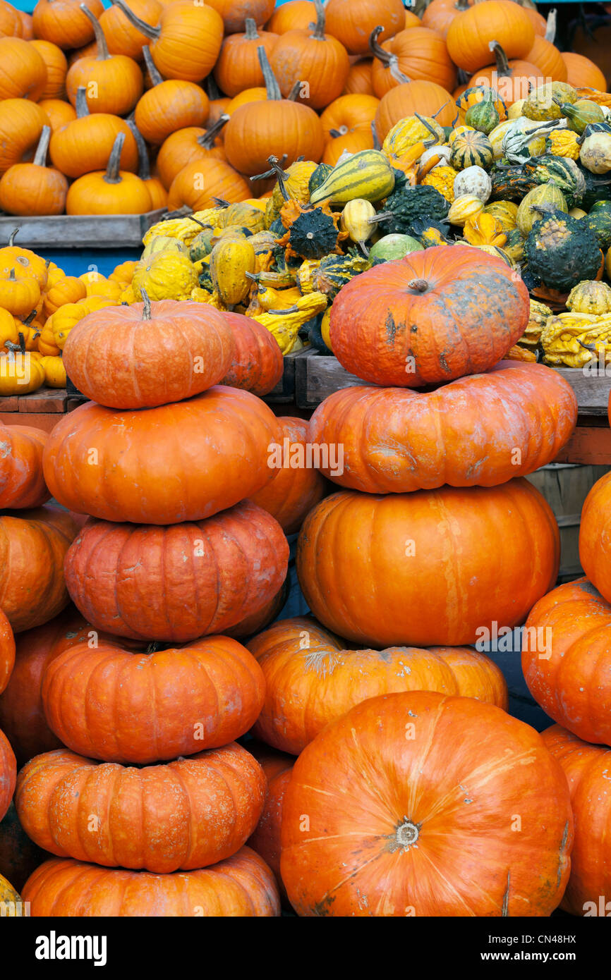Canada, Quebec Province, Montreal, Atwater Market, the Autumn products, squash and pumpkins sold