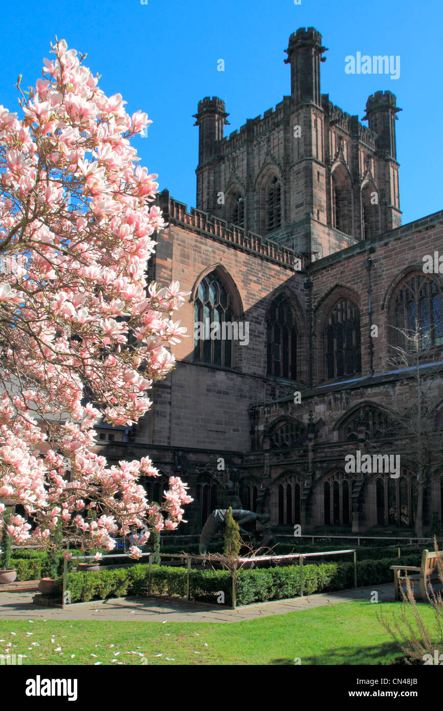 England Cheshire Chester Cathedral & blossom Stock Photo