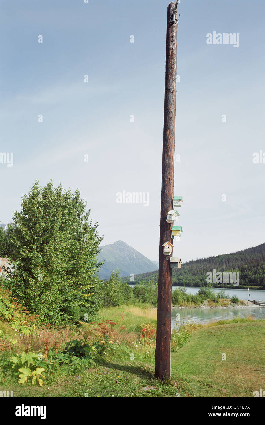 Birdhouses on telephone pole, Seward, Alaska Stock Photo