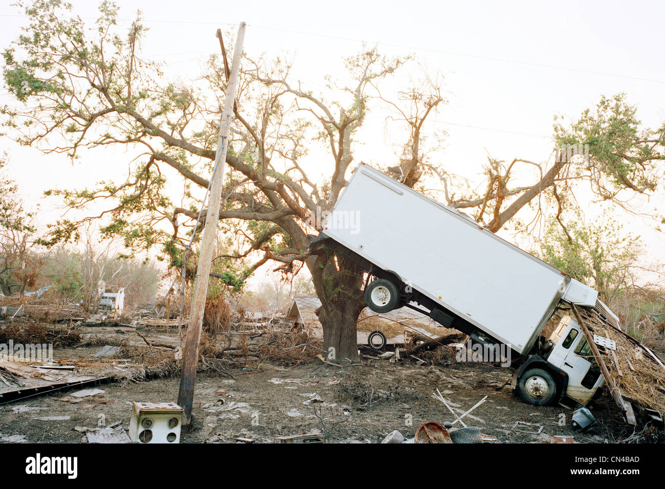 Truck hanging in tree, aftermath of Hurricane Katrina, Plaquemines Parish, Louisiana, USA Stock Photo