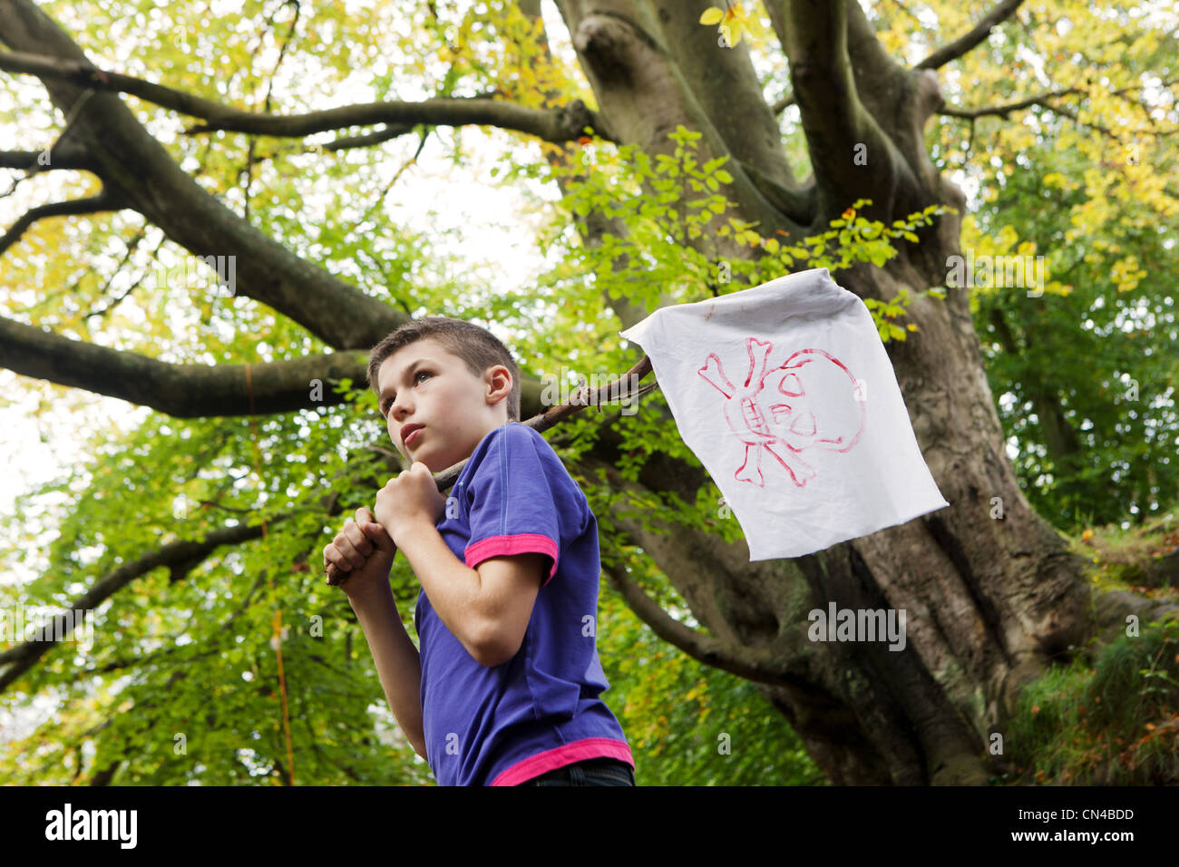 Boy holding a pirate flag Stock Photo