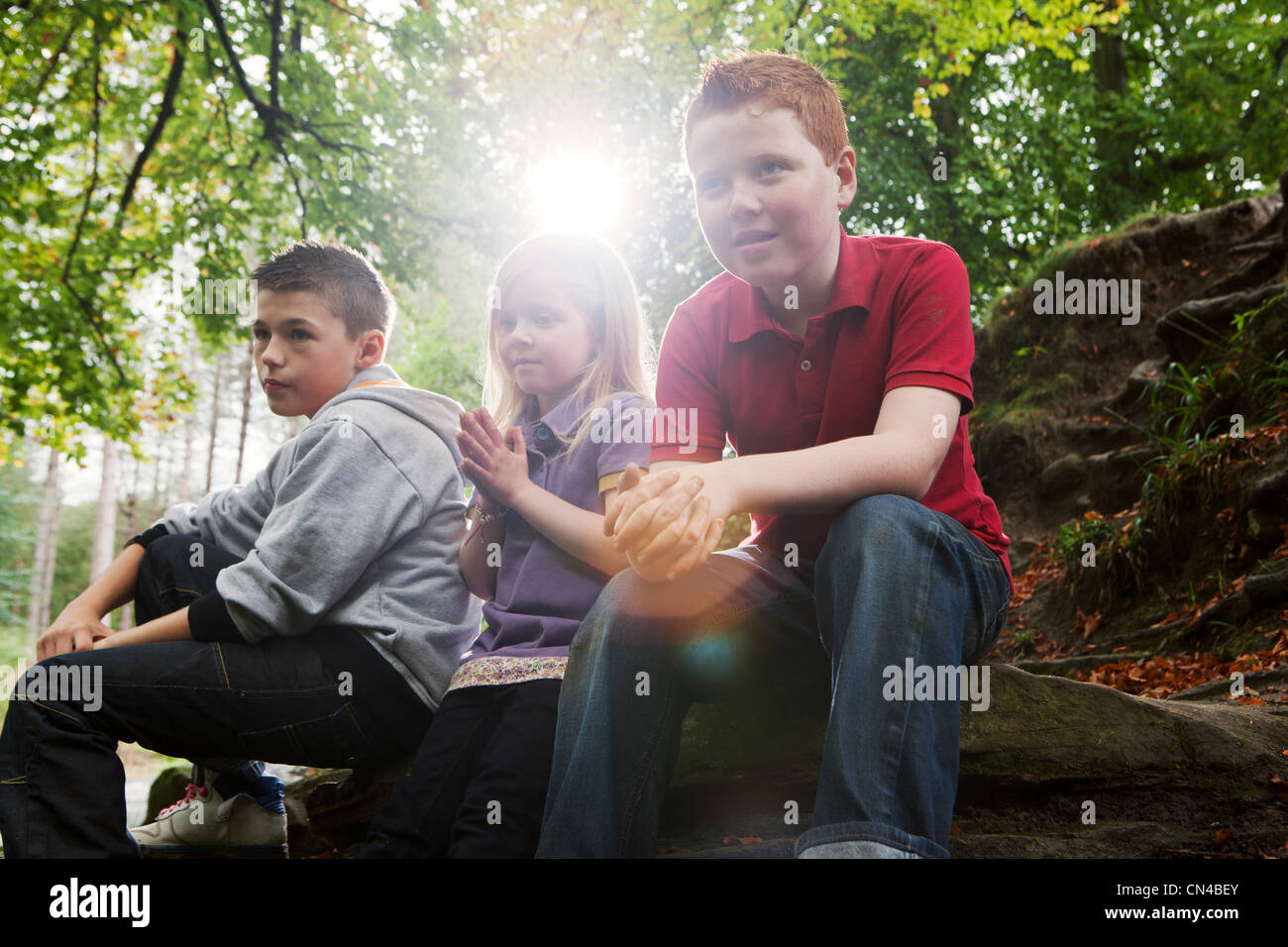 Children resting in a woodland Stock Photo