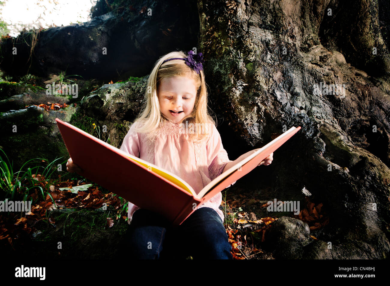 Young girl reading a book in a woodland Stock Photo