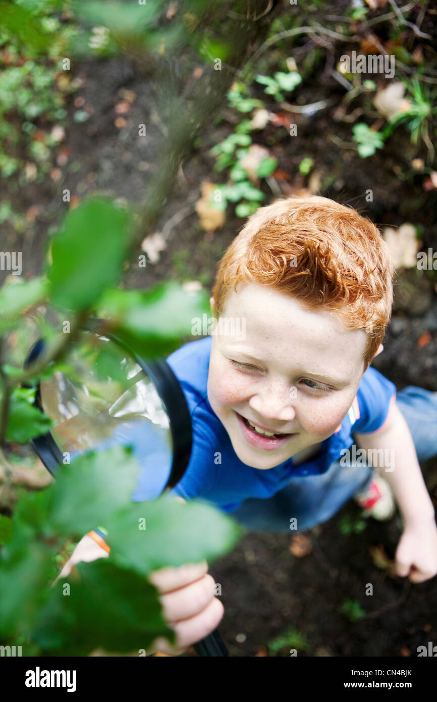 Boy looking at leaves with a magnifying glass Stock Photo