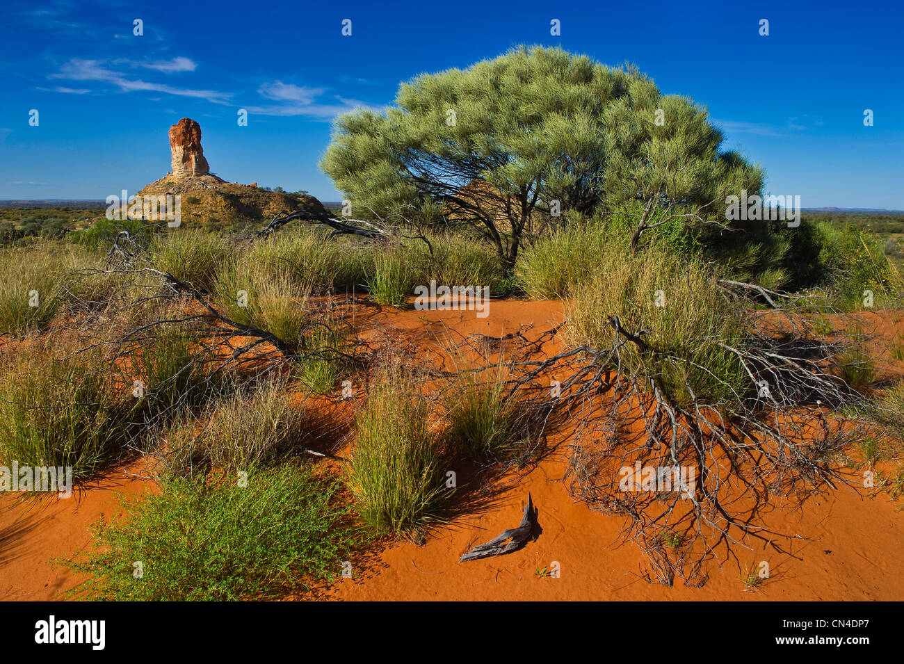 Australia, Northern Territory, Simpson desert, Chambers Pillar Historical Reserve, Chambers Pillar Stock Photo