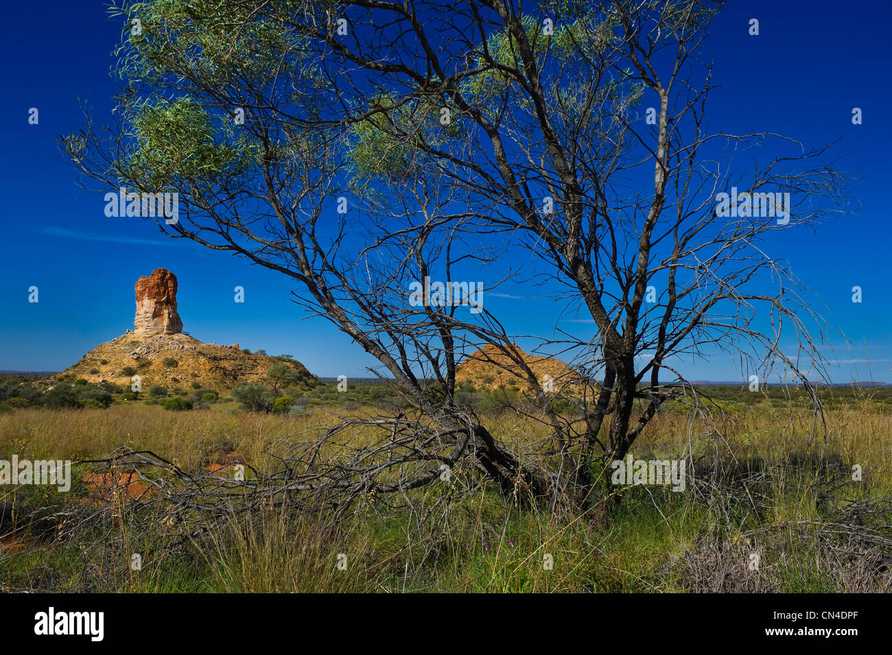 Australia, Northern Territory, Simpson desert, Chambers Pillar Historical Reserve, Chambers Pillar Stock Photo