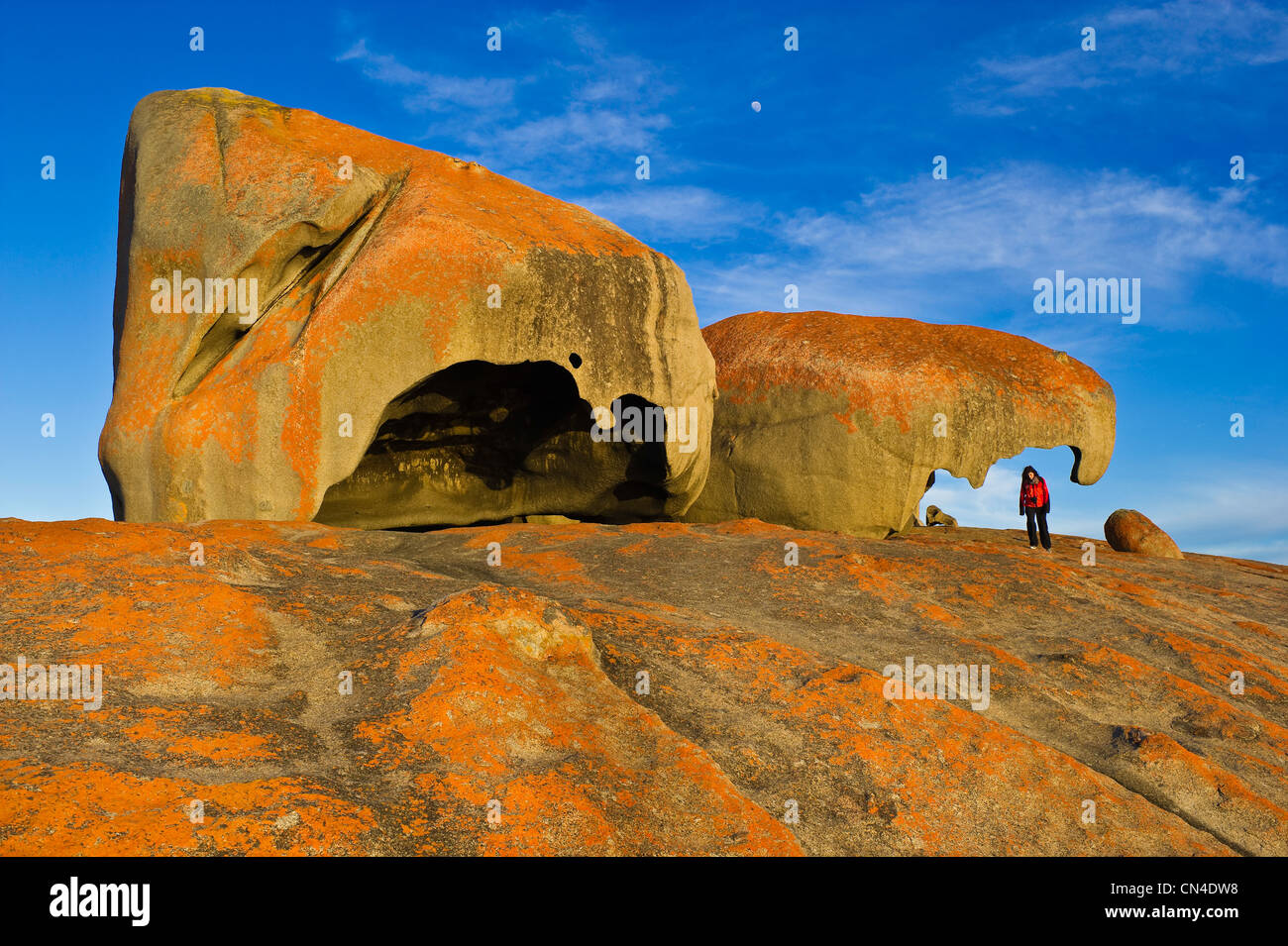 Australia, South Australia, St Vincent Gulf, Kangaroo island, Flinders Chase National Park