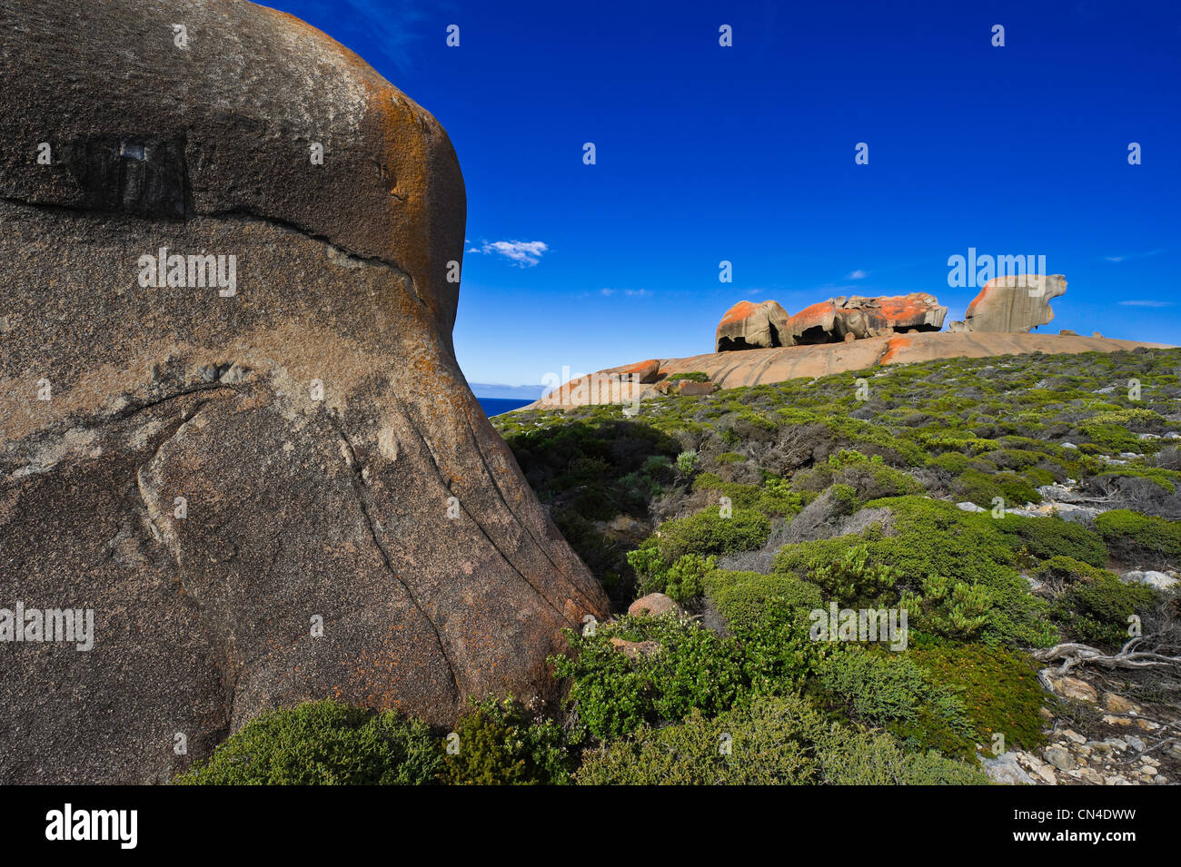 Australia, South Australia, St Vincent Gulf, Kangaroo island, Flinders Chase National Park
