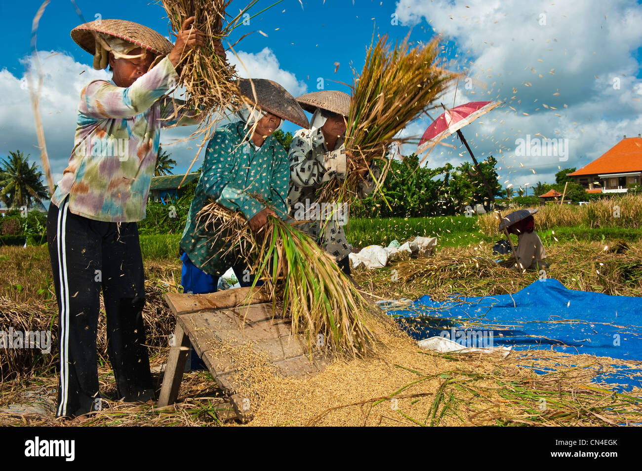 Bali’s Charming Village Life