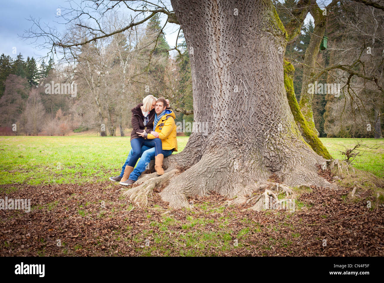 Couple Sitting Closely Together Under a Large Tree in a Lush Park Stock ...