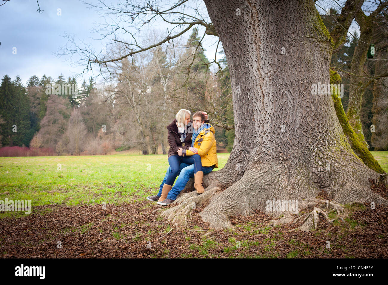 Couple Sitting Closely Together Under a Large Tree in a Lush Park Stock ...