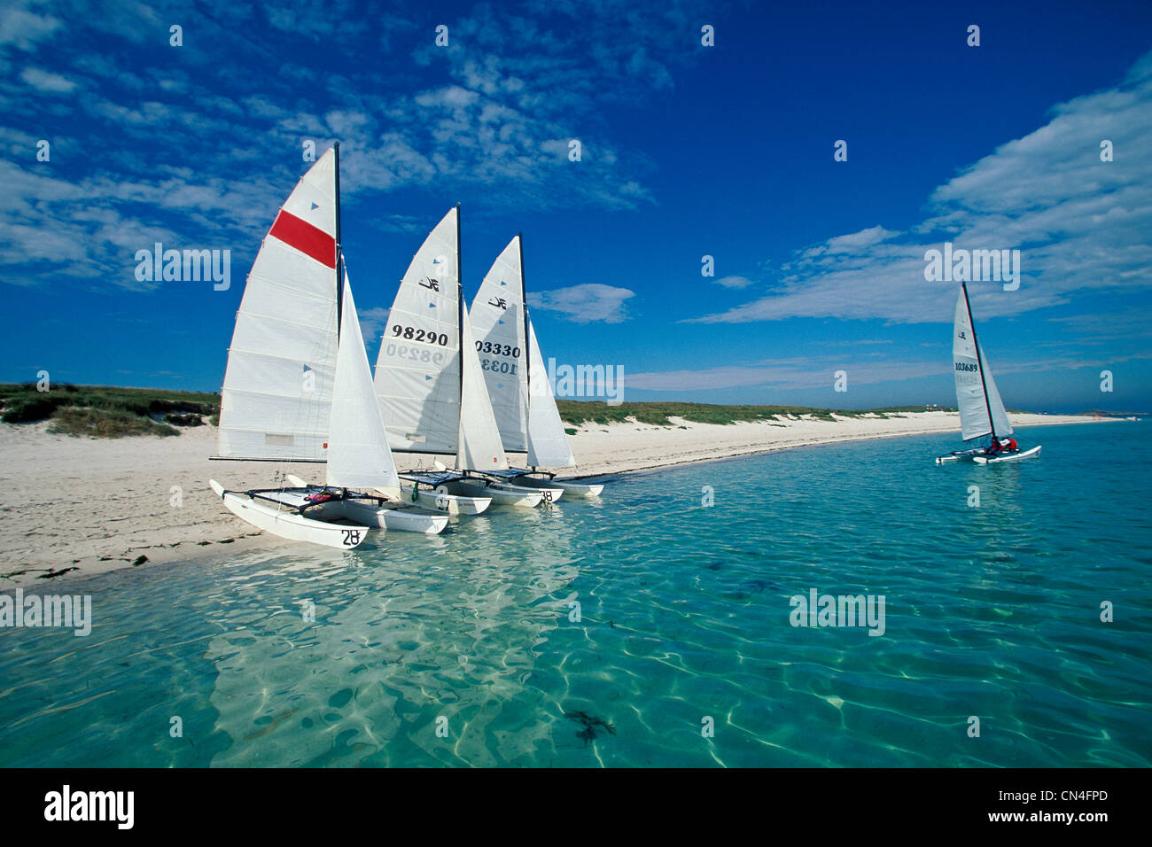 France, Finistere, Archipel des Glenan (Glenan archipelago), catamaran