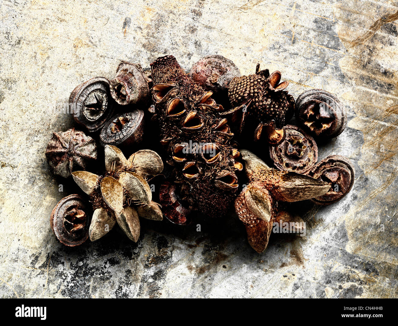 Heap of Australian plant seeds Stock Photo Alamy