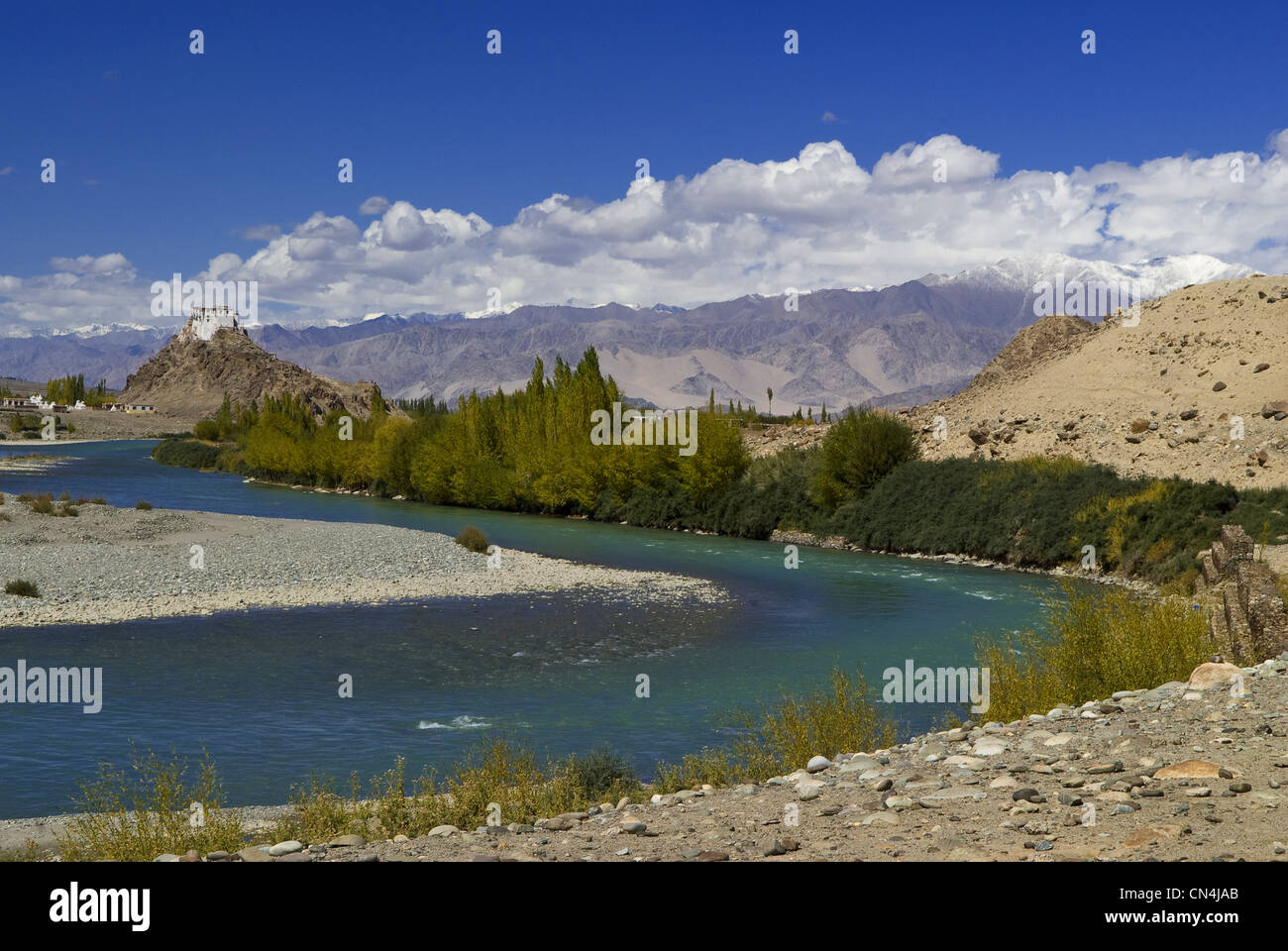 India, Jammu and Kashmir State, Ladakh Region, Himalayan foothills, Hemis village Stock Photo