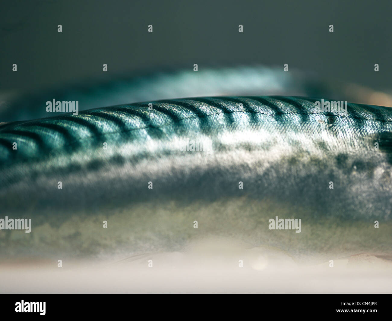 Fish skin pattern hi-res stock photography and images - Alamy