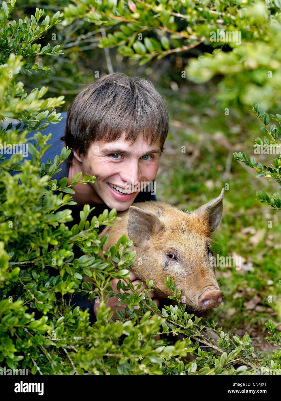France, Larzac, Aveyron, feature: Epic Pork, Nicolas Brahic Stock Photo