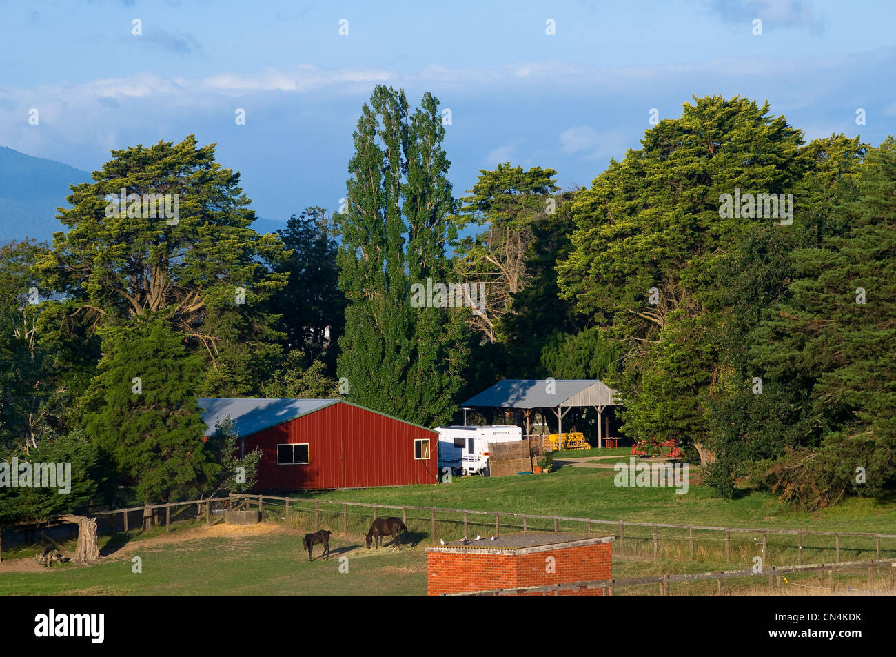 Australia, Victoria, wineproducing region of Yarra Valley at north
