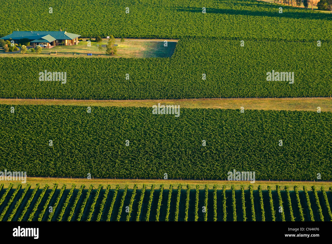 Australia, Victoria, wine-producing region of Yarra Valley at north east of Melbourne, landscape seen from hot air ballon Stock Photo