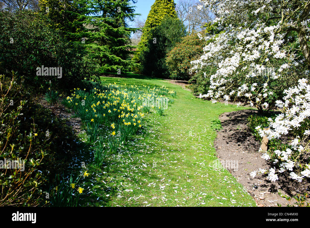 Saville gardens, berkshire hires stock photography and images Alamy