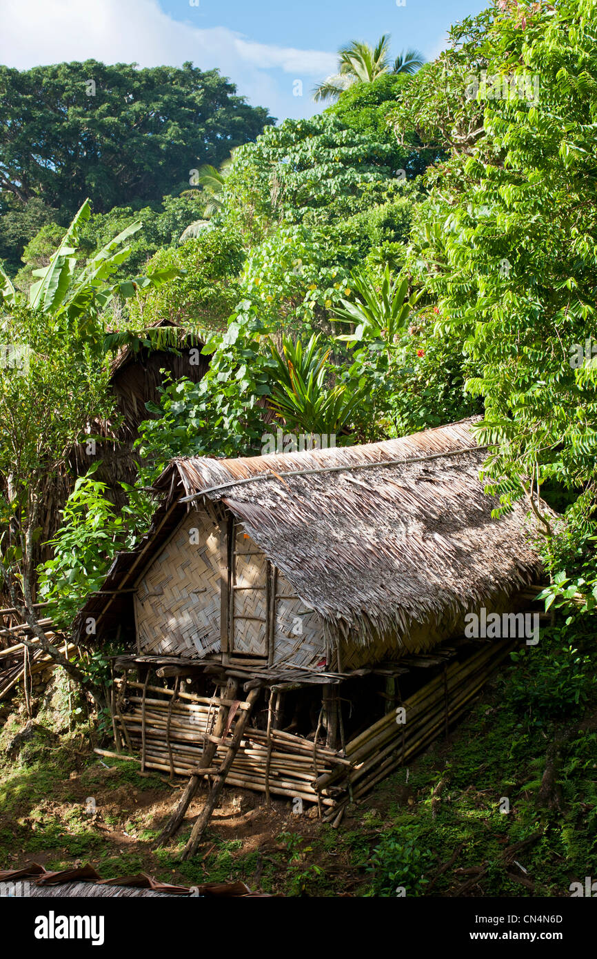 Vanuatu, Penama Province, Pentecost Island, Bunlap, traditional house