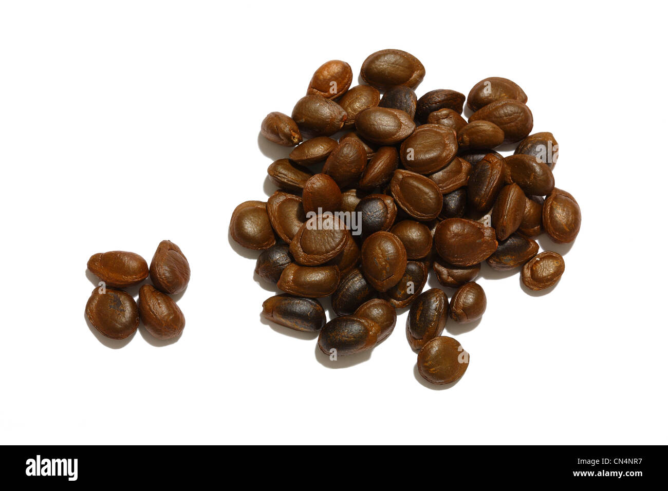 Annona seeds on white background Stock Photo - Alamy