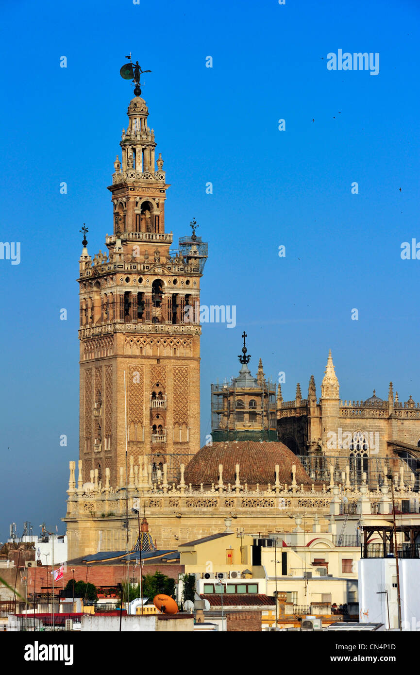 Spain, Andalusia, Seville, la Giralda Tower, former Almohad minaret of the  Great Mosque converted into Cathedral steeple Stock Photo - Alamy