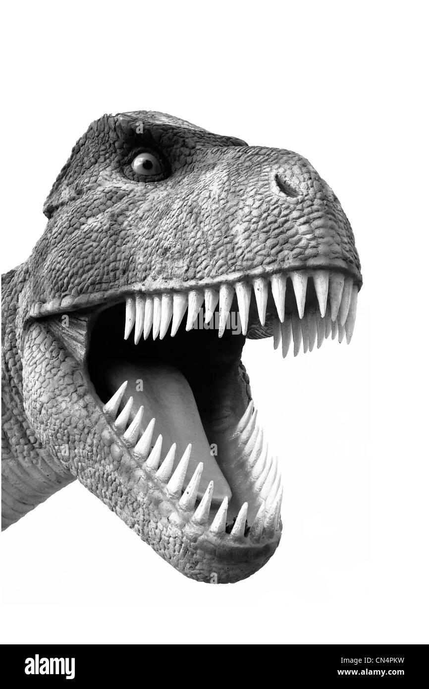 Menacing Tyrannosaurus Rex dinosaur Stock Photo