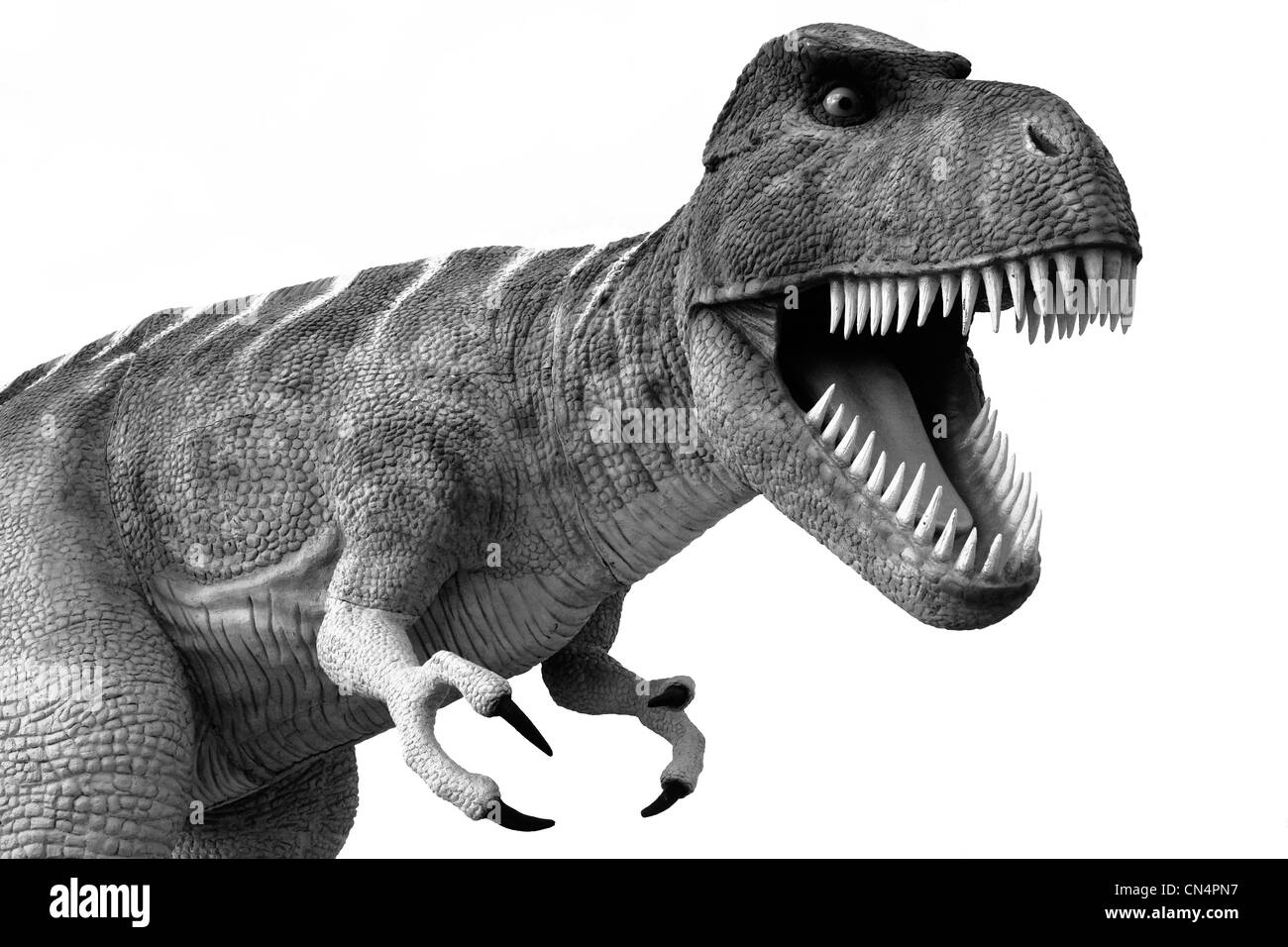 Menacing Tyrannosaurus Rex dinosaur Stock Photo - Alamy