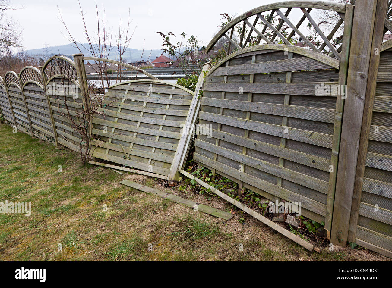 Broken fence in garden due to storm damage, Wales, UK Stock Photo