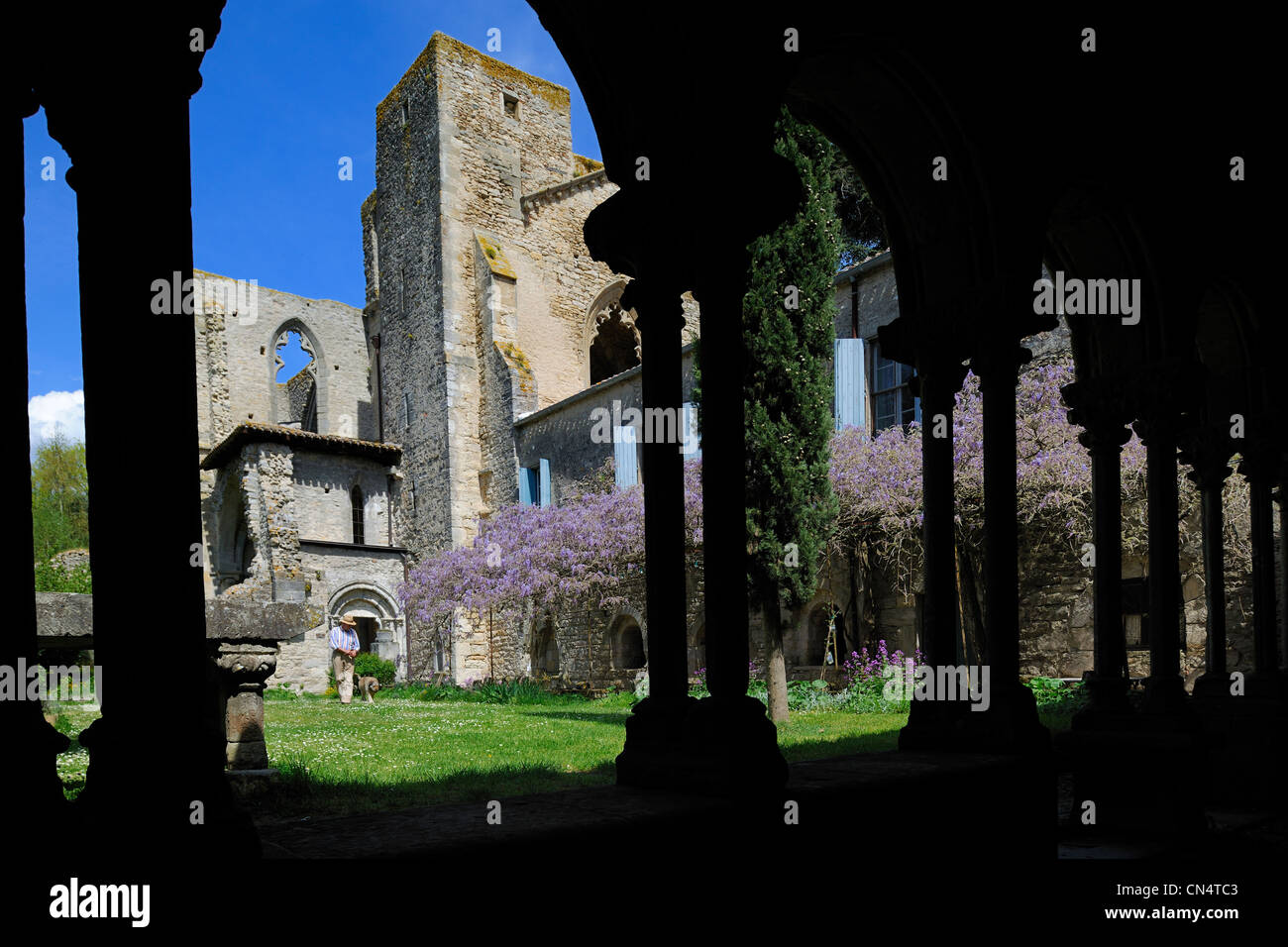 France, Aude, St Martin le Vieil, the former Cistercian abbey of Villelongue and guesthouse, the former abbey church from the Stock Photo