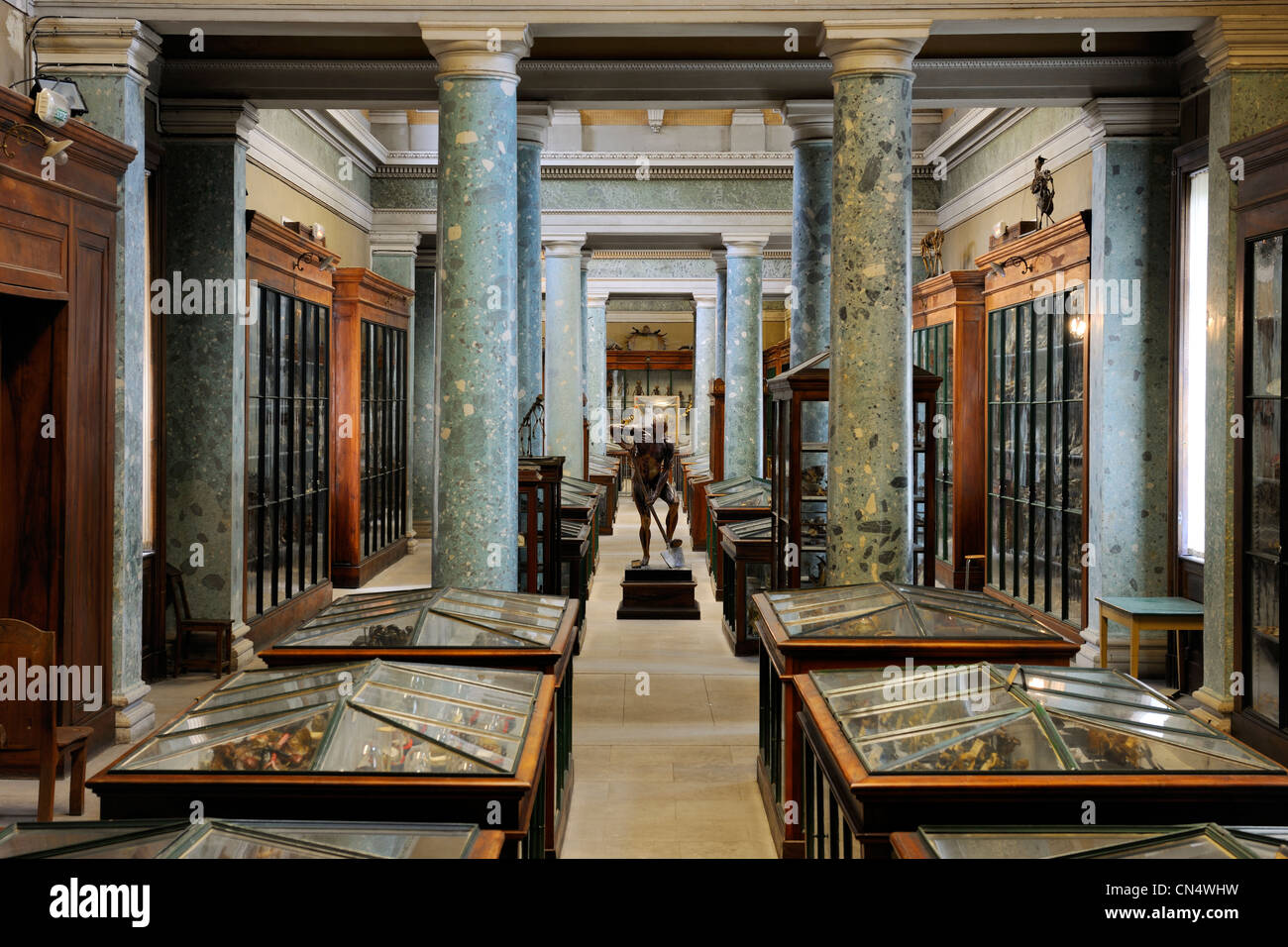 France, Herault, Montpellier, historical center, medecine university, Anatomy museum Stock Photo