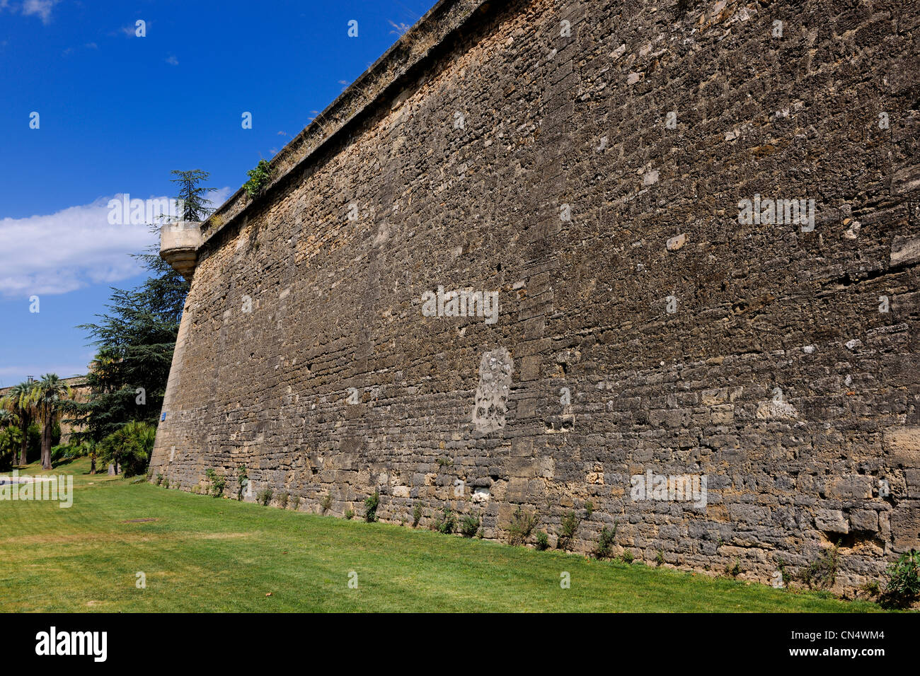 France, Herault, Montpellier, the ditches of the Citadel have been converted into gardens planted with palm Stock Photo