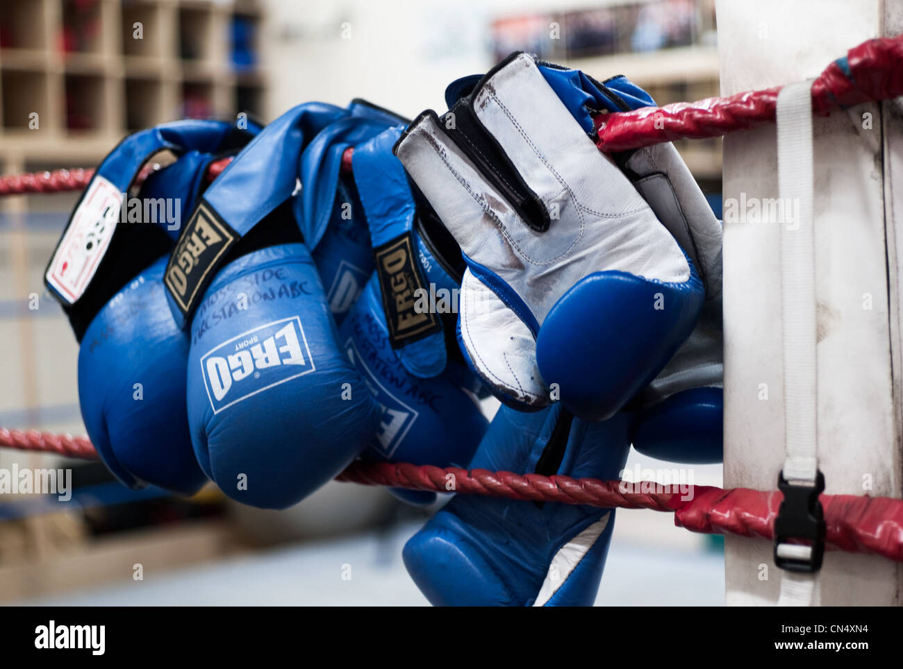 Boxing gloves drapped over the rope of a boxing ring Stock Photo Alamy