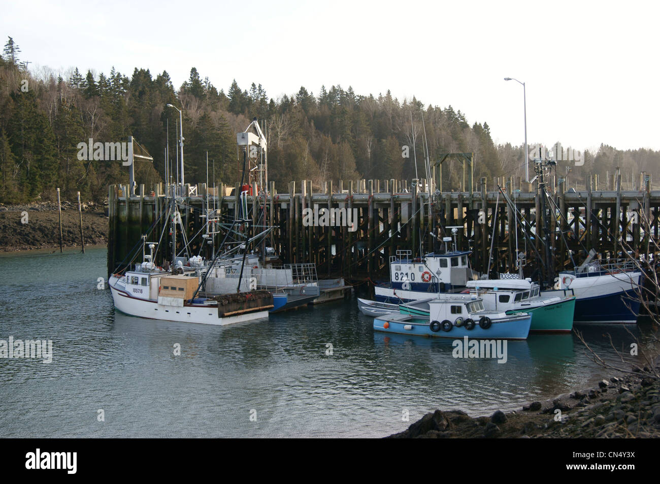 Head Harbour breakwater with fishing boats at low tide, Campobello Island, Bay of Fundy, New Brunswick, Canada. Stock Photo