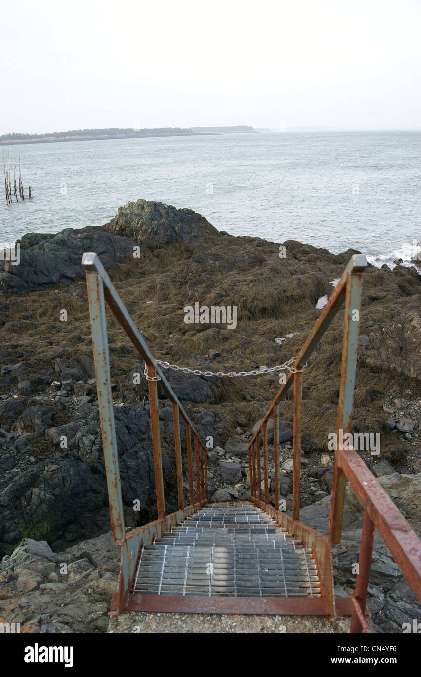 Rusty ladder on a cliff providing beach access at low tide, Campobello Island, Bay of Fundy, New Brunswick, Canada. Stock Photo