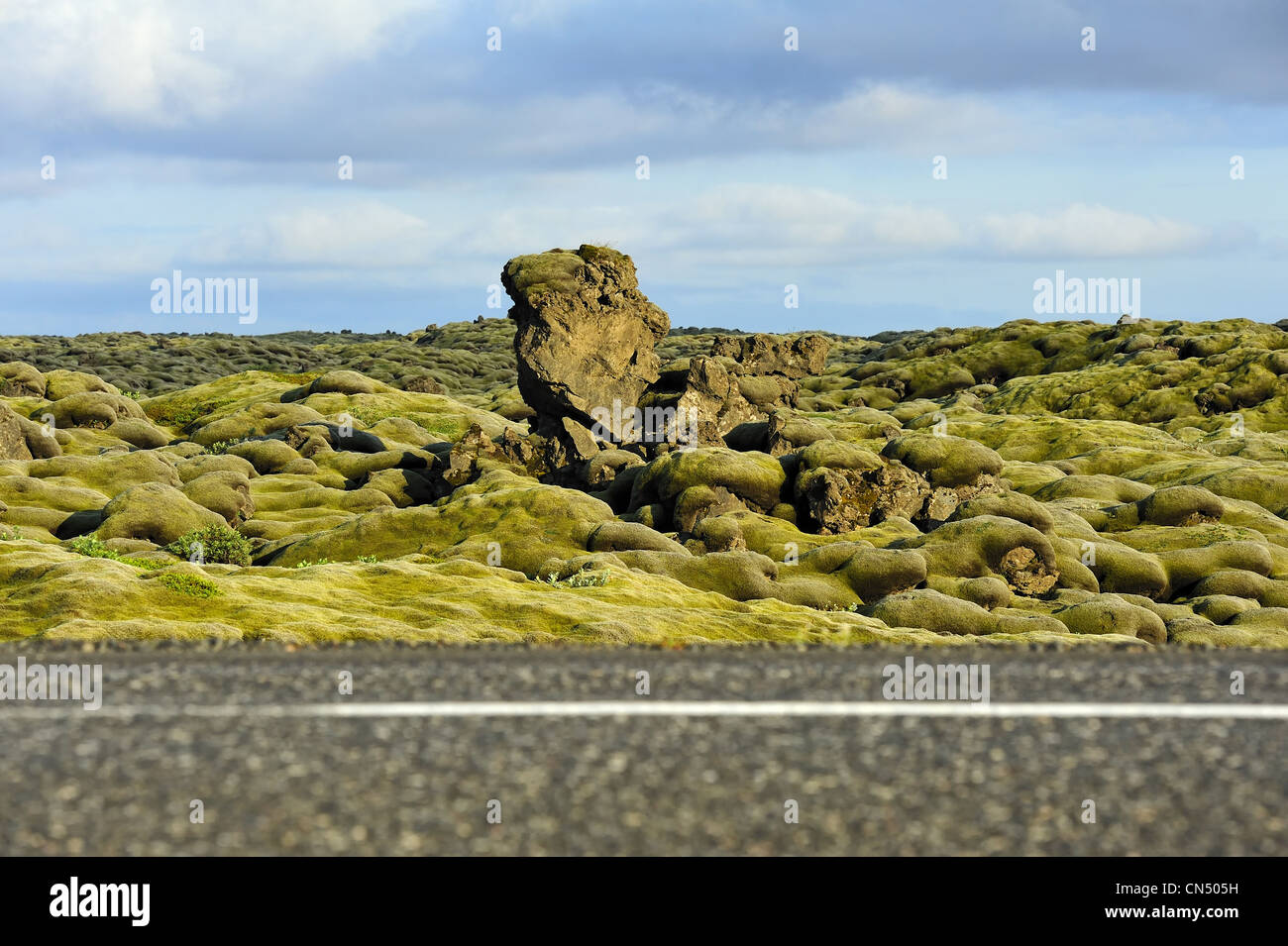 lava field at Eldhraun, Iceland. Focus on background. Stock Photo