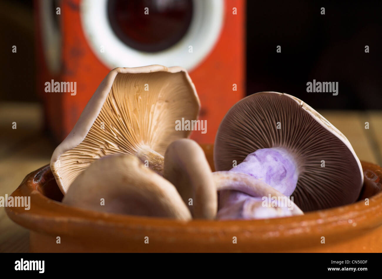 Raw field mushrooms in a bowl. Stock Photo