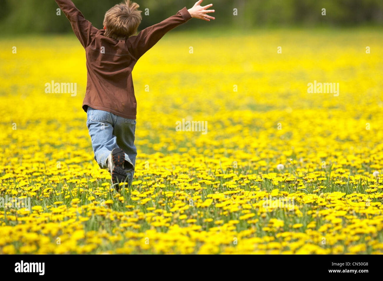 Мечты дают крылья. Изображения со смыслом. Мечта данного. Мечта определение для сочинения. Сочинение о мечтах человека.