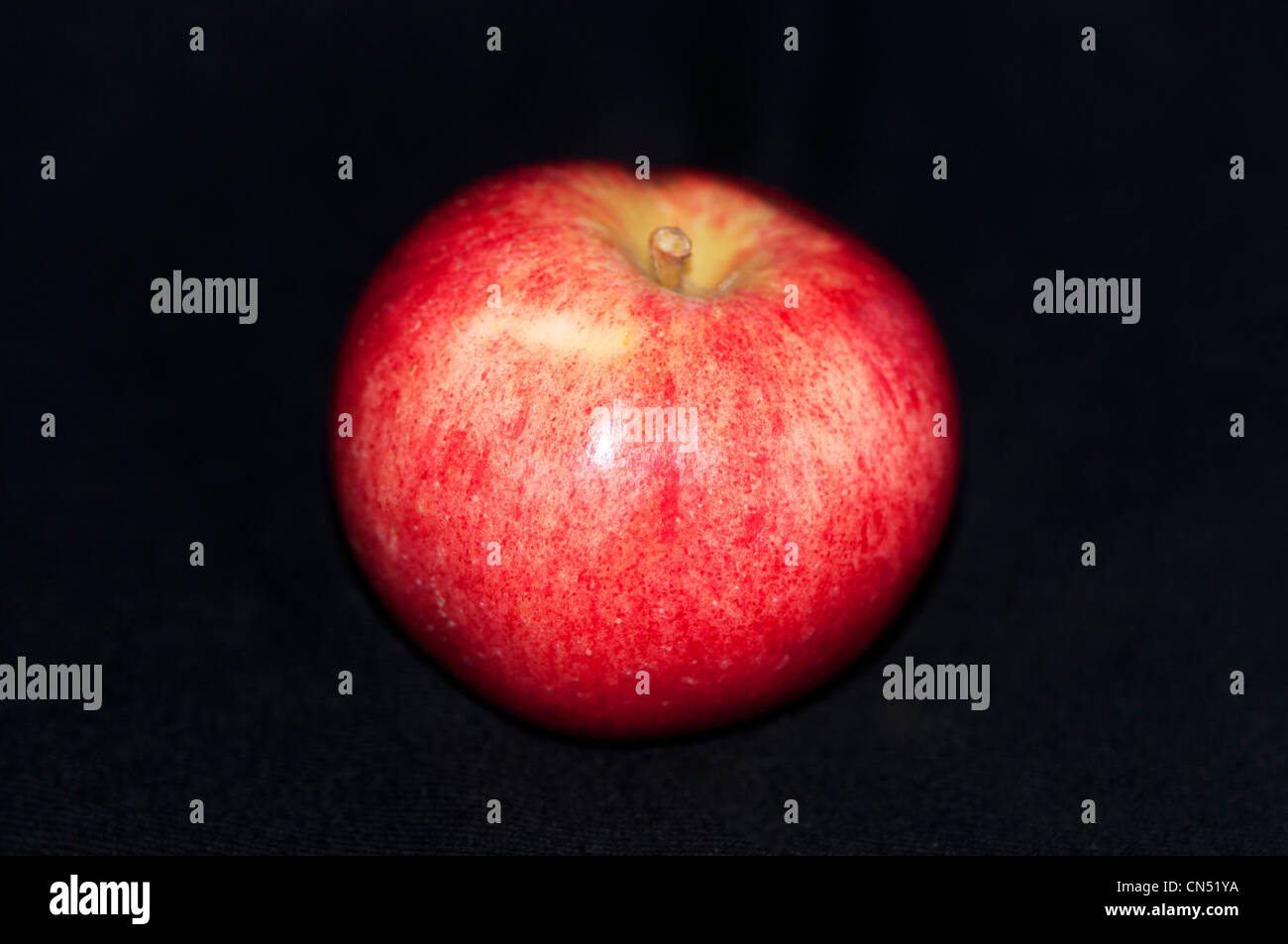 Amorosa, a apple cultivar from Sweden Stock Photo Alamy