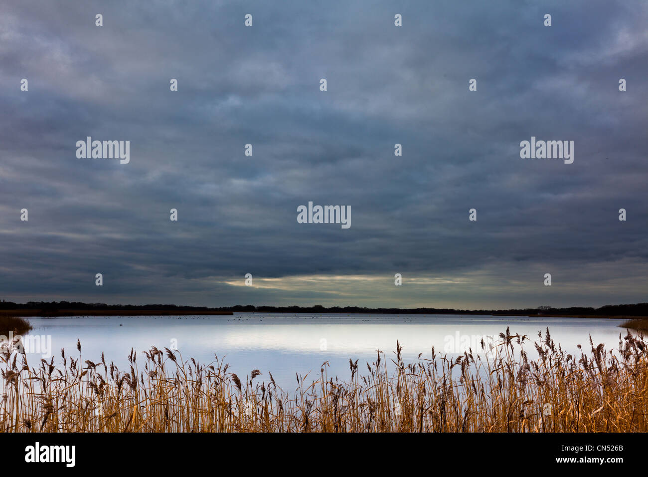 Dramatic landscape and sky Hickling Broad Norfolk UK Stock Photo