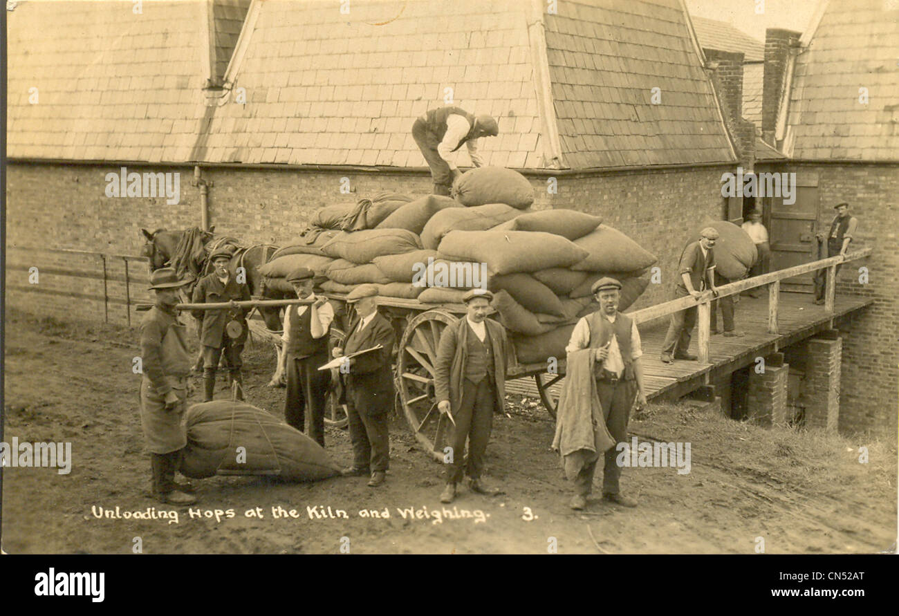 Postcard Unloading Hops at the Kiln and Weighing Stock Photo
